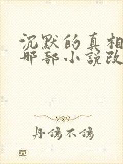 沉默的真相根据哪部小说改编