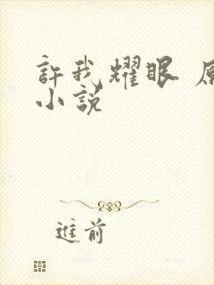 许我耀眼 原著小说