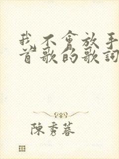 我不会放手是哪首歌的歌词