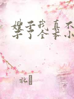 嫂子我真不是傻子了全本小说txt下载