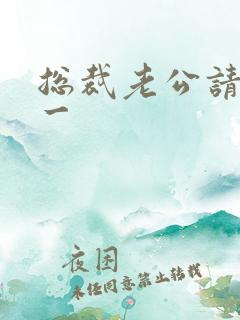 总裁老公请宠我一