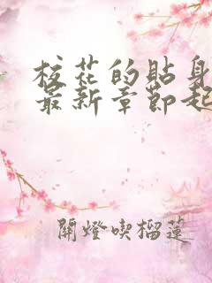 校花的贴身高手最新章节起点