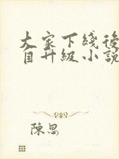 大家下线后我独自升级小说免费阅读