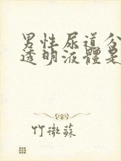 男性尿道分泌出透明液体是什么