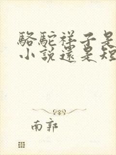 骆驼祥子是长篇小说还是短篇小说