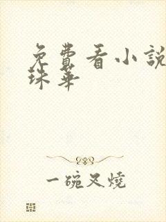 免费看小说冠上珠华