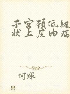 子宫颈低级别鳞状上皮内病变什么意思