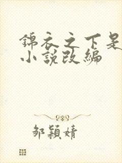 锦衣之下是什么小说改编