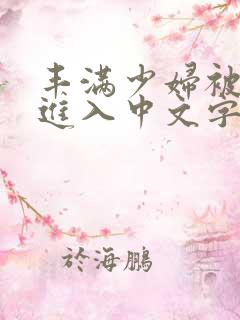 丰满少妇被猛烈进入中文字幕