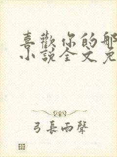 喜欢你的那十年小说全文免费阅读