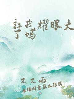 许我耀眼大结局了吗