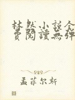林然小说全文免费阅读无弹窗