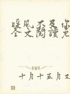 暖风不及你情深全文阅读免费