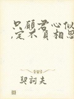 只愿君心似我心,定不负相思意是什么意思