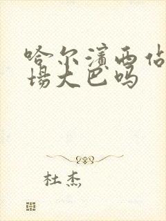 哈尔滨西站有机场大巴吗