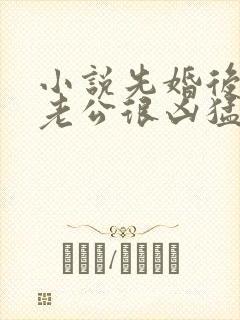 小说先婚后爱:老公很凶猛免费阅读