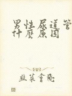 男性尿道管痒是什么原因