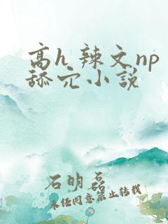 高h 辣文np舔穴小说