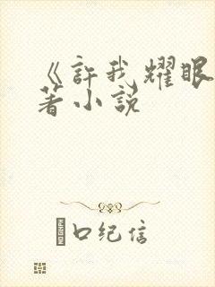 《许我耀眼》原著小说