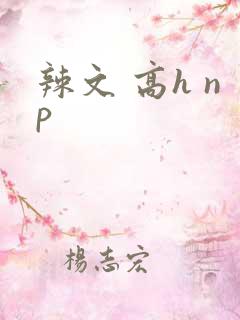 辣文 高h np