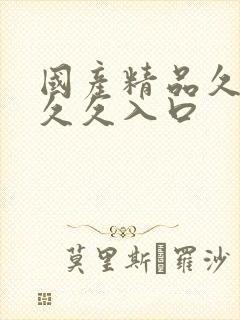 国产精品久久久久久入口