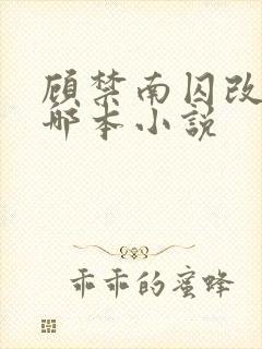 顾禁南囚改编自哪本小说