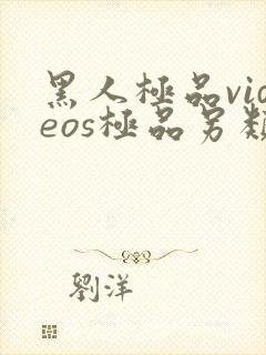 黑人极品videos极品另类