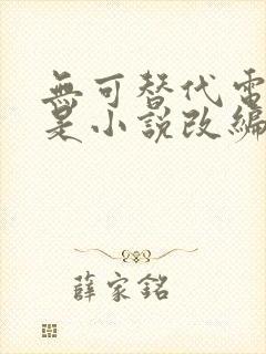 无可替代电视剧是小说改编的吗