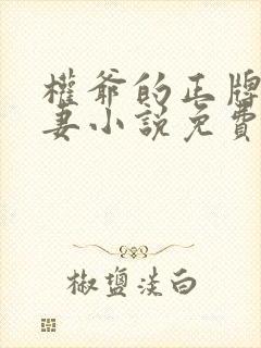 权爷的正牌小娇妻小说免费阅读