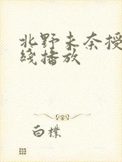 北野未奈授乳在线播放