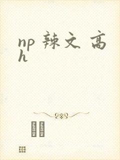 np 辣文 高h