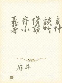 聂齐修谈贞静原著小说叫什么名字