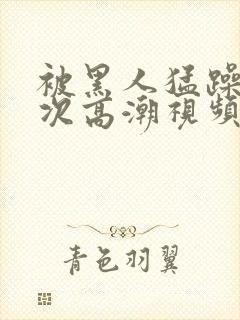 被黑人猛躁12次高潮视频