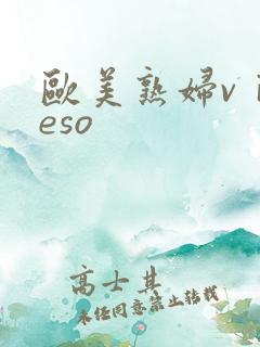 欧美熟妇vⅰdeso