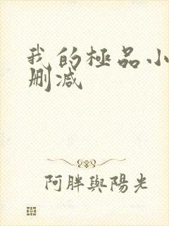 我的极品小姨无删减