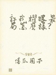 许我耀眼最后结局怎么样?