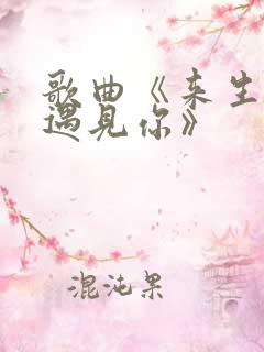 歌曲《来生不再遇见你》