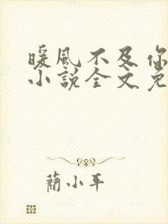 暖风不及你情深小说全文免费阅读起点