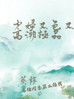 少妇又色又爽又高潮极品