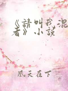 《请叫我混乱尊者》小说