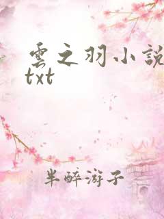 云之羽小说原著txt