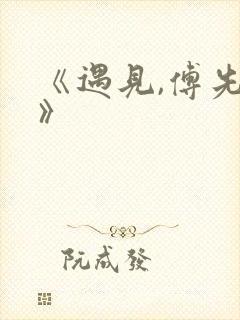 《遇见,傅先生》