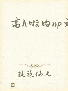 高h啪肉np文