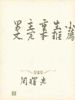 男主重生小说宠文完本推荐