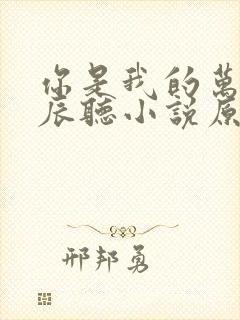 你是我的万千星辰听小说原声