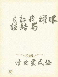 《许我耀眼》小说结局