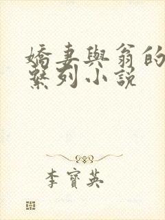 娇妻与翁的沉沦系列小说