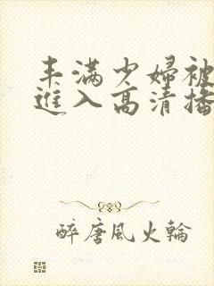 丰满少妇被猛烈进入高清播放小说