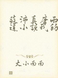 苏沛真唐雨菲林道小说我的岳母