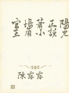 官场萧正阳李冰主角小说免费阅读